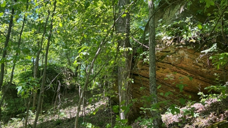 Jackson County Ohio Land for Sale - image 9