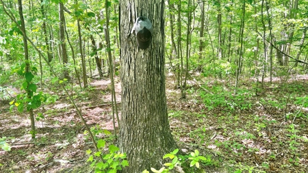 Jackson County Ohio Land for Sale - image 26