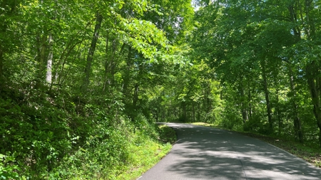 Jackson County Ohio Land for Sale - image 4