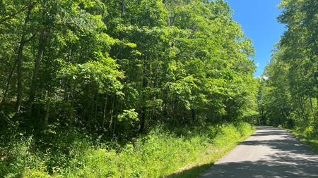 Jackson County Ohio Land for Sale - image 3
