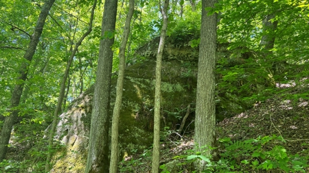 Jackson County Ohio Land for Sale - image 7
