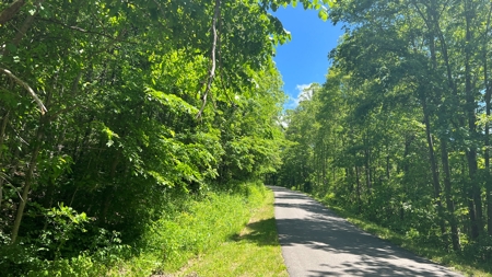 Jackson County Ohio Land for Sale - image 2