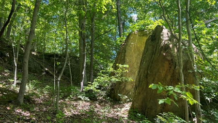Jackson County Ohio Land for Sale - image 15