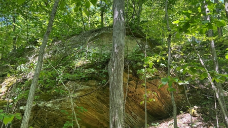 Jackson County Ohio Land for Sale - image 10
