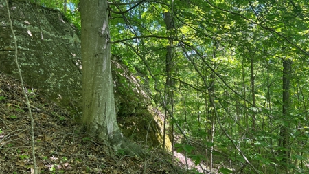 Jackson County Ohio Land for Sale - image 18