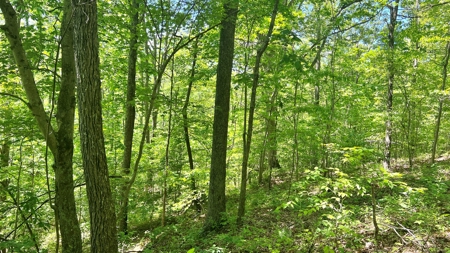 Jackson County Ohio Land for Sale - image 20
