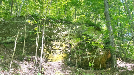 Jackson County Ohio Land for Sale - image 11