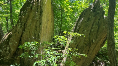 Jackson County Ohio Land for Sale - image 16