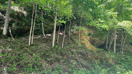 Jackson County Ohio Land for Sale - image 5