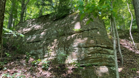 Jackson County Ohio Land for Sale - image 14