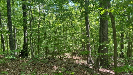 Jackson County Ohio Land for Sale - image 22