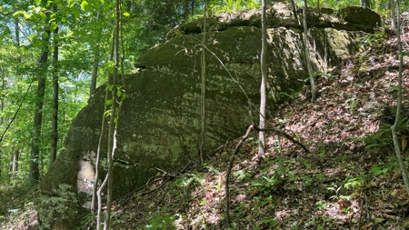 Jackson County Ohio Land for Sale - image 19