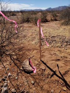 Online Auction 56+/- Acres Ranch Land (Mcneal/Tombstone, Az) - image 9
