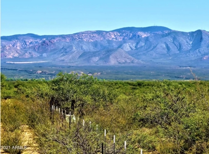 Online Auction 56+/- Acres Ranch Land (Mcneal/Tombstone, Az) - image 23