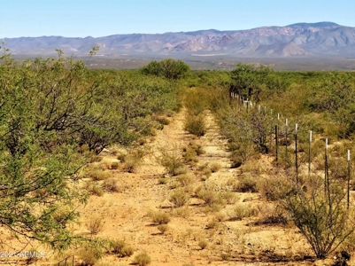 Online Auction 56+/- Acres Ranch Land (Mcneal/Tombstone, Az) - image 26
