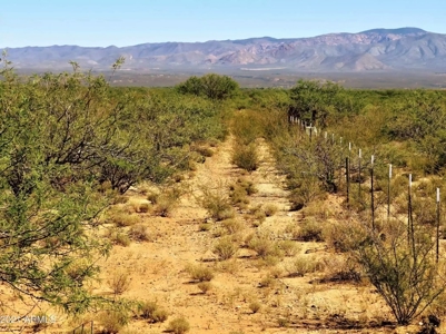 Online Auction 56+/- Acres Ranch Land (Mcneal/Tombstone, Az) - image 6