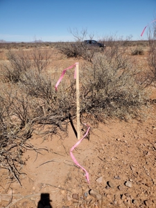 Online Auction 56+/- Acres Ranch Land (Mcneal/Tombstone, Az) - image 12