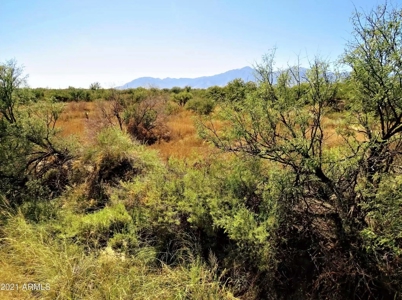 Online Auction 56+/- Acres Ranch Land (Mcneal/Tombstone, Az) - image 7