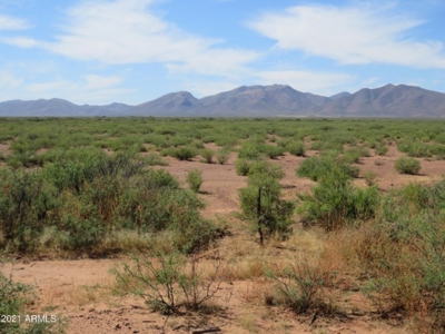 Online Auction 56+/- Acres Ranch Land (Mcneal/Tombstone, Az) - image 3
