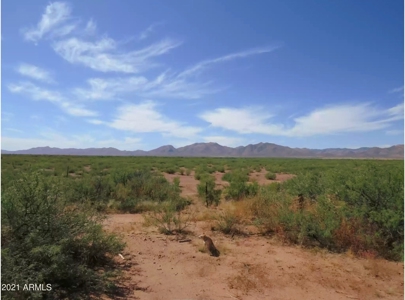 Online Auction 56+/- Acres Ranch Land (Mcneal/Tombstone, Az) - image 4