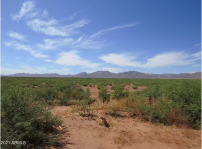 Online Auction 56+/- Acres Ranch Land (Mcneal/Tombstone, Az) - image 24