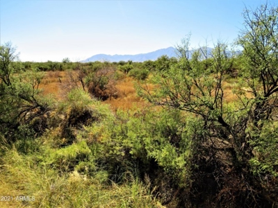 Online Auction 56+/- Acres Ranch Land (Mcneal/Tombstone, Az) - image 2