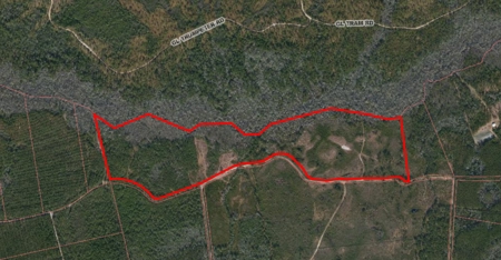 Family compound or farmstead opportunity in Hampstead, NC - image 1