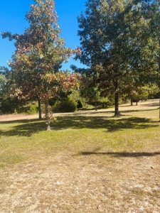 Commercial Property For Sale In Highland, Arkansas - image 5