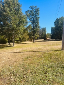 Commercial Property For Sale In Highland, Arkansas - image 4