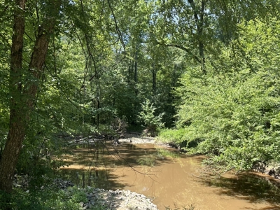 Land for Sale - Near Emerson, AR!! - image 12