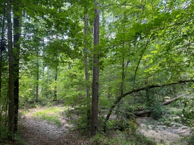 Land for Sale - Near Emerson, AR!! - image 5
