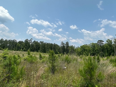 Land for Sale - Near Emerson, AR!! - image 4