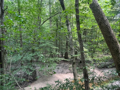 Land for Sale - Near Emerson, AR!! - image 6