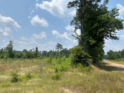 Land for Sale - Near Emerson, AR!! - image 9