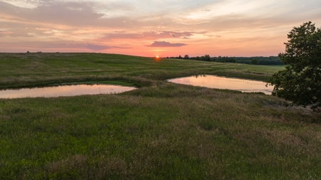 Collin Co TX Ranch for Sale Recreational Value & Investment - image 50