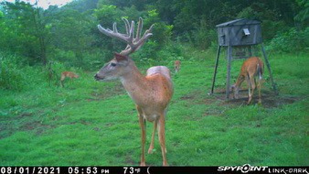 Collin Co TX Ranch for Sale Recreational Value & Investment - image 35