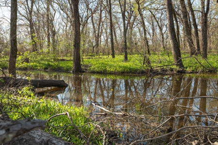 Collin Co TX Ranch for Sale Recreational Value & Investment - image 29