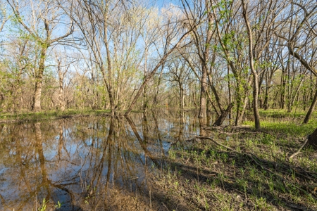Collin Co TX Ranch for Sale Recreational Value & Investment - image 26