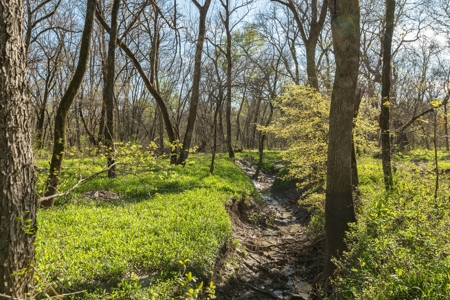 Collin Co TX Ranch for Sale Recreational Value & Investment - image 23