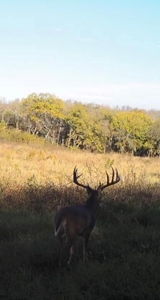 Collin Co TX Ranch for Sale Recreational Value & Investment - image 42