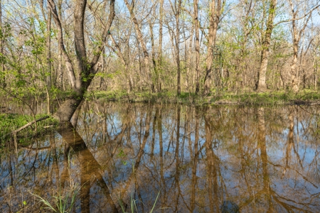 Collin Co TX Ranch for Sale Recreational Value & Investment - image 27