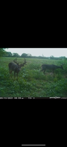 Collin Co TX Ranch for Sale Recreational Value & Investment - image 43