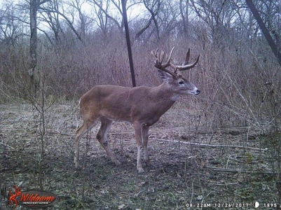 Collin Co TX Ranch for Sale Recreational Value & Investment - image 32