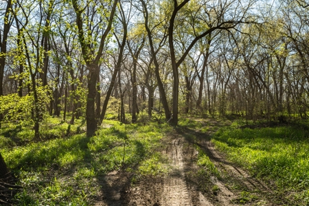 Collin Co TX Ranch for Sale Recreational Value & Investment - image 22