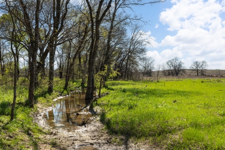 Collin Co TX Ranch for Sale Recreational Value & Investment - image 6