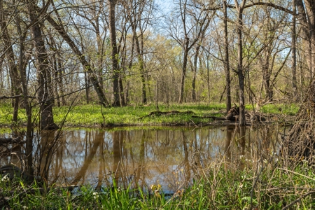Collin Co TX Ranch for Sale Recreational Value & Investment - image 24