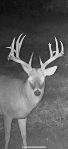 Collin Co TX Ranch for Sale Recreational Value & Investment - image 40