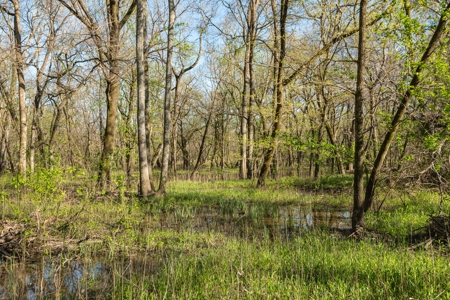 Collin Co TX Ranch for Sale Recreational Value & Investment - image 28