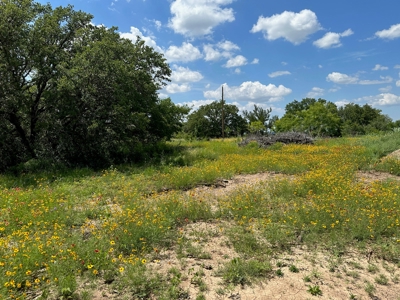 Home Lot 1018 Kings Point Cove Resort Brownwood Brown Texas - image 2