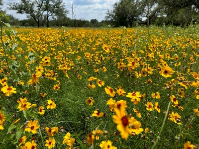 Home Lot 1018 Kings Point Cove Resort Brownwood Brown Texas - image 1